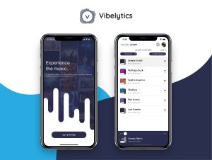 Read more about the article Vibelytics